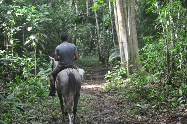 horses and rain forests costa rica finca bijagual 